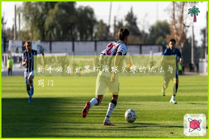 新手必看世界杯滚球买球的玩法与窍门