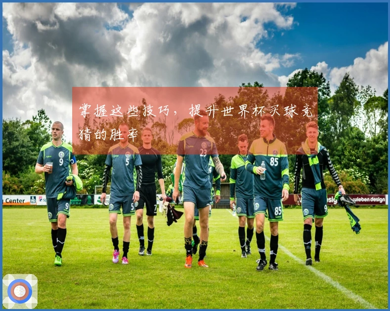 掌握这些技巧，提升世界杯买球竞猜的胜率