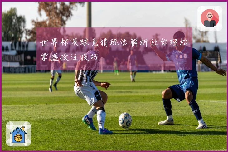 世界杯滚球竞猜玩法解析让你轻松掌握投注技巧