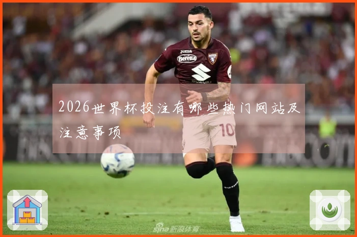 2026世界杯投注有哪些热门网站及注意事项