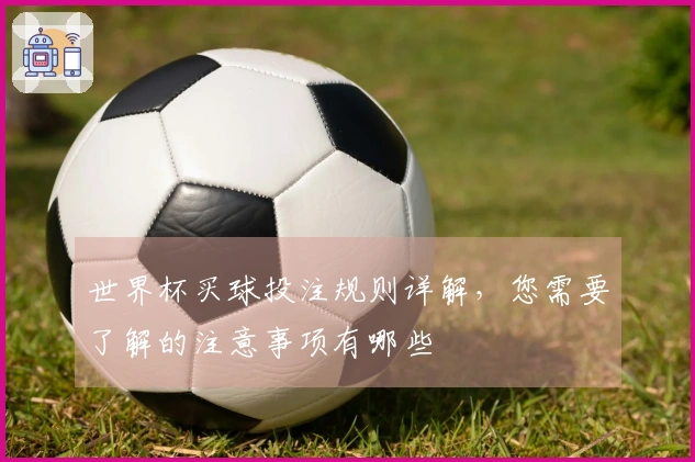 世界杯买球投注规则详解，您需要了解的注意事项有哪些