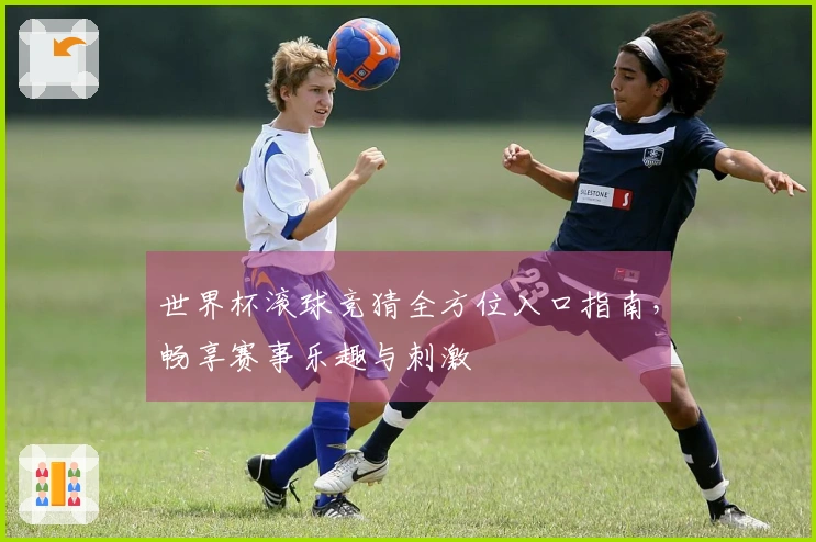 世界杯滚球竞猜全方位入口指南，畅享赛事乐趣与刺激