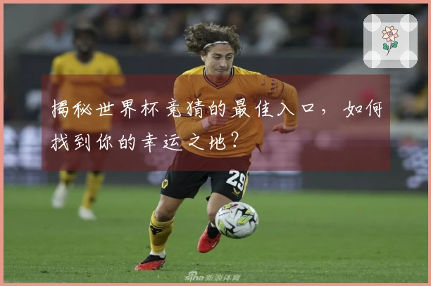 揭秘世界杯竞猜的最佳入口，如何找到你的幸运之地？