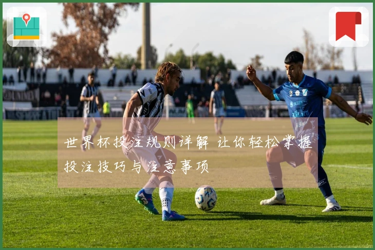 世界杯投注规则详解 让你轻松掌握投注技巧与注意事项