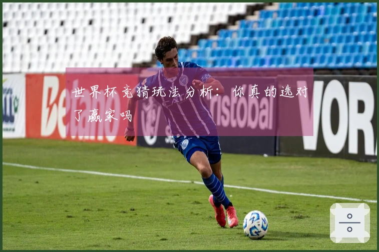 世界杯竞猜玩法分析：你真的选对了赢家吗