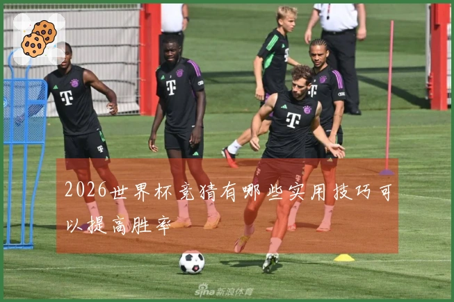 2026世界杯竞猜有哪些实用技巧可以提高胜率