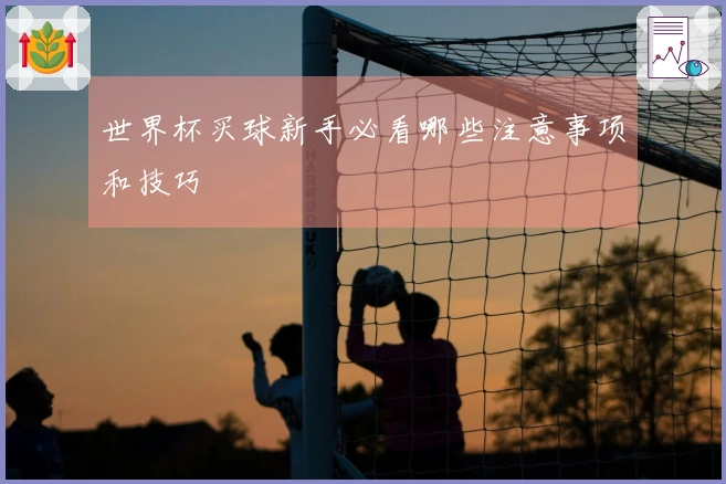 世界杯买球新手必看哪些注意事项和技巧