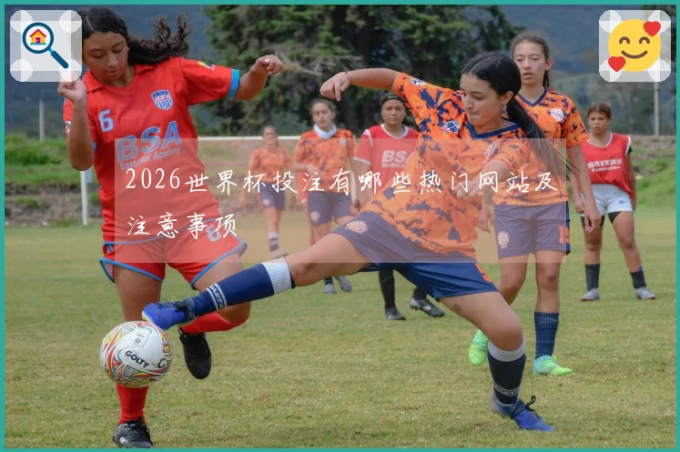 2026世界杯投注有哪些热门网站及注意事项