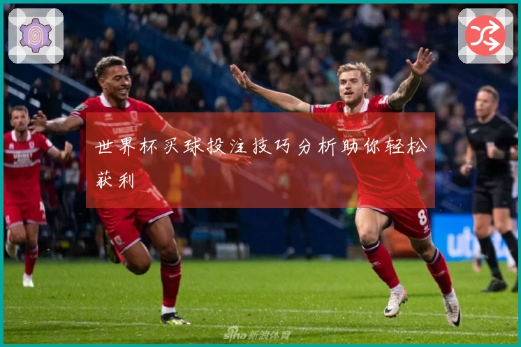 世界杯买球投注技巧分析助你轻松获利