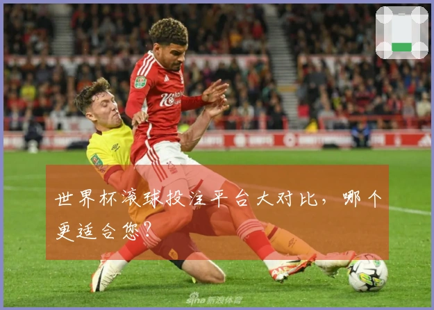 世界杯滚球投注平台大对比，哪个更适合您？